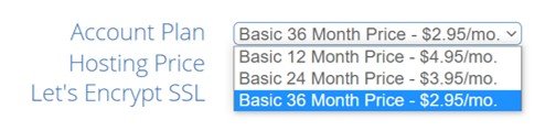 basic bluehost plan details